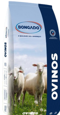 Bongado Ovinos