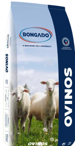 Bongado Ovinos