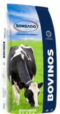 Bongado Bovinos